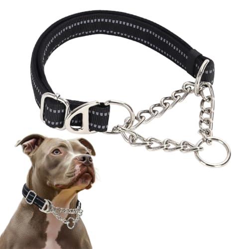 Schwarzes Martingale-Halsband für Hunde, mittelgroß, reflektierend, Nylon, verstellbar, strapazierfähig, Hundehalsband für kleine, mittelgroße und große Hunde Schwarzes Martingale-Halsband für Hunde, mittelgroß, reflektierend, Nylon, verstellbar, strapazierfähig, Hundehalsband für kleine, mittelgroße und große Hunde von PSPORT