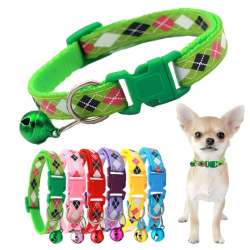 Welpenhalsband mit Glöckchen, Nylon, für Jungen, Katzenhalsband, Kunststoffschnalle, Kätzchen-Glöckchen-Halsband für kleine Welpen, männlich, XXS, XS, extra kleine Haustiere Welpenhalsband mit Glöckchen, Nylon, für Jungen, Katzenhalsband, Kunststoffschnalle, Kätzchen-Glöckchen-Halsband für kleine Welpen, männlich, XXS, XS, extra kleine Haustiere von PSPORT