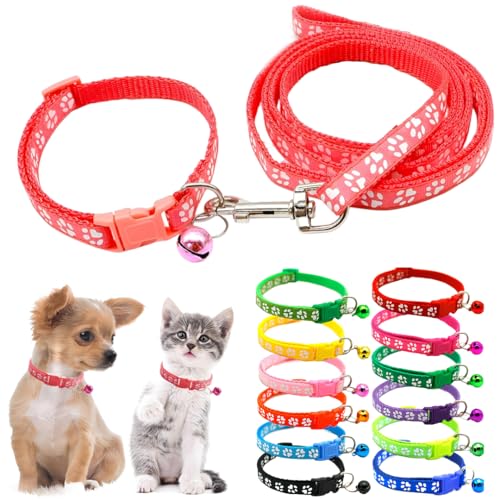 XS Hundehalsband mit Glocke und Leine, Pfotenabdruck, Nylon, weibliche Katzenhalsbänder für XXS, XS, kleine Haustiere, Tierstreu, kleines Kätzchen, Wassermelonenrot XS Hundehalsband mit Glocke und Leine, Pfotenabdruck, Nylon, weibliche Katzenhalsbänder für XXS, XS, kleine Haustiere, Tierstreu, kleines Kätzchen, Wassermelonenrot von PSPORT