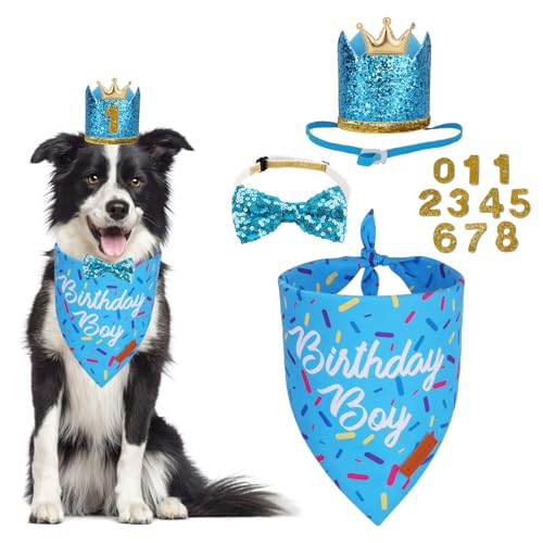 PTDECOR Hunde-Geburtstagsparty-Zubehör, verschiedene Größen, Geburtstags-Halstuch, blaue Krone, Geburtstags-Hundehut-Set für mittelgroße und große Haustiere (groß) von PTDECOR