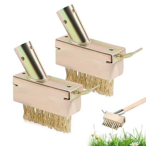 2 Stück Unkraut Fugenbürste, Fugenkratzer Fugenreiniger Stahlbürste Unkraut Bürste Fugenbürste Garten für Beseitigen von Gras Moos Platten Fugen Mauerkanten von PTHDEW