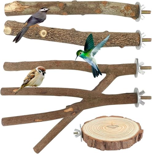 Sitzstangen Vögel, 5 Stück Naturholz Vogel Sitzstangen Set Vogelständer Vogelzubehör Vogelspielplatz Vogelkäfig Zubehör für Vögel Wellensittich Nymphensittich Kanarienvogel von PTHDEW