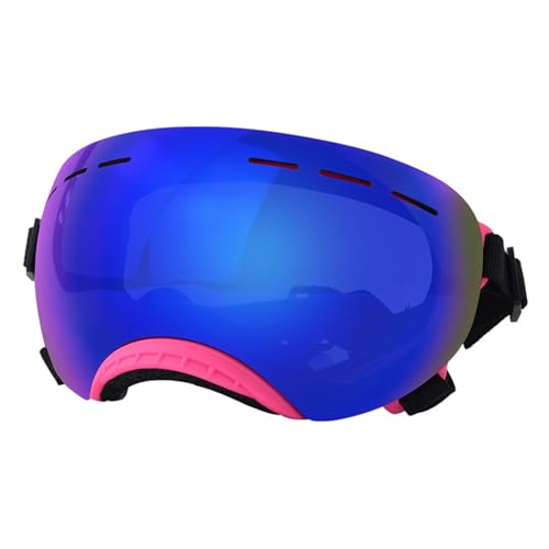 PTILSERY Hundebrille, verstellbar, Zubehör, Welpen, Fotos, Werkzeuge, Dekorationen für Outdoor, Radfahren, Reisen PTILSERY Hundebrille, verstellbar, Zubehör, Welpen, Fotos, Werkzeuge, Dekorationen für Outdoor, Radfahren, Reisen von PTILSERY