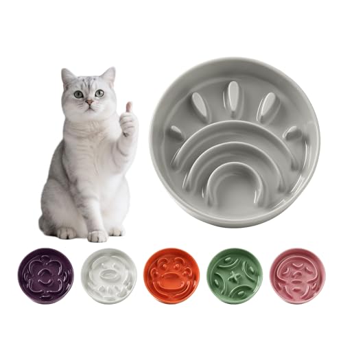 Anti Schling Napf Katze Keramik - Antischlingnapf Hunde Klein - Futternapf Langsam Fressen Interaktiver Labyrinth Design - Anti-Barf und rutschfest Napf Für Kleine Haustiere - Grau - 180g Anti Schling Napf Katze Keramik - Antischlingnapf Hunde Klein - Futternapf Langsam Fressen Interaktiver Labyrinth Design - Anti-Barf und rutschfest Napf Für Kleine Haustiere - Grau - 180g von PTOBER