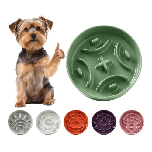 Anti Schling Napf Katze Keramik - Antischlingnapf Hunde Klein - Futternapf Langsam Fressen Interaktiver Labyrinth Design - Anti-Barf und rutschfest Napf Für Kleine Haustiere - Grün - 180g Anti Schling Napf Katze Keramik - Antischlingnapf Hunde Klein - Futternapf Langsam Fressen Interaktiver Labyrinth Design - Anti-Barf und rutschfest Napf Für Kleine Haustiere - Grün - 180g von PTOBER