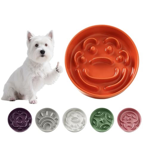 Anti Schling Napf Katze Keramik - Antischlingnapf Hunde Klein - Futternapf Langsam Fressen Interaktiver Labyrinth Design - Anti-Barf und rutschfest Napf Für Kleine Haustiere - Orange - 180g Anti Schling Napf Katze Keramik - Antischlingnapf Hunde Klein - Futternapf Langsam Fressen Interaktiver Labyrinth Design - Anti-Barf und rutschfest Napf Für Kleine Haustiere - Orange - 180g von PTOBER