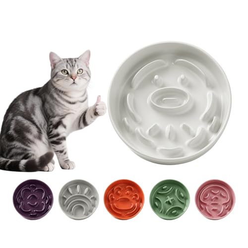 Anti Schling Napf Katze Keramik - Antischlingnapf Hunde Klein - Futternapf Langsam Fressen Interaktiver Labyrinth Design - Anti-Barf und rutschfest Napf Für Kleine Haustiere - Weiss - 180g Anti Schling Napf Katze Keramik - Antischlingnapf Hunde Klein - Futternapf Langsam Fressen Interaktiver Labyrinth Design - Anti-Barf und rutschfest Napf Für Kleine Haustiere - Weiss - 180g von PTOBER