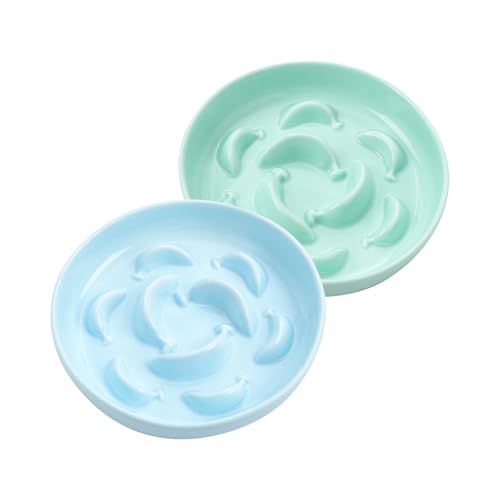 Anti Schling Napf Katze Set - 2 Stück Antischlingnapf Katze Keramik - Katzennapf Set Langsam Fütterung - Doppel Futternapf Katze - Katzennäpfe in Pastellfarben - Fressnäpfe für Katzen - Blau und Grün Anti Schling Napf Katze Set - 2 Stück Antischlingnapf Katze Keramik - Katzennapf Set Langsam Fütterung - Doppel Futternapf Katze - Katzennäpfe in Pastellfarben - Fressnäpfe für Katzen - Blau und Grün von PTOBER