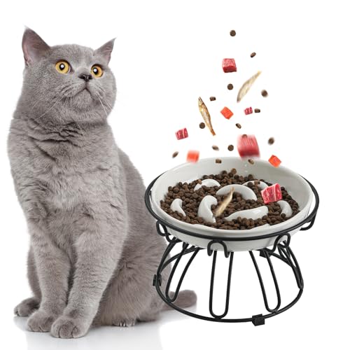Anti Schling Napf Katzen Erhöht - Antischlingnapf Katze aus Keramik mit rutschfestem Metallständer - Pastellserie Katzennapf Langsam Fütterung - Interaktiver Labyrinth Futternapf Katze - Elfenbeinweiß Anti Schling Napf Katzen Erhöht - Antischlingnapf Katze aus Keramik mit rutschfestem Metallständer - Pastellserie Katzennapf Langsam Fütterung - Interaktiver Labyrinth Futternapf Katze - Elfenbeinweiß von PTOBER