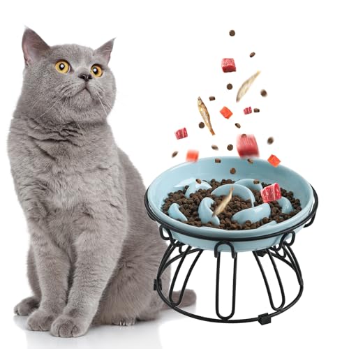 Anti Schling Napf Katzen Erhöht - Antischlingnapf Katze aus Keramik mit rutschfestem Metallständer - Pastellserie Katzennapf Langsam Fütterung - Interaktiver Labyrinth Futternapf Katze - Hellblau Anti Schling Napf Katzen Erhöht - Antischlingnapf Katze aus Keramik mit rutschfestem Metallständer - Pastellserie Katzennapf Langsam Fütterung - Interaktiver Labyrinth Futternapf Katze - Hellblau von PTOBER