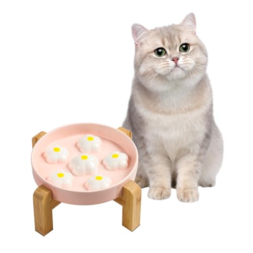 Anti Schling Napf Katzen Erhöht - Antischlingnapf Katze aus Keramik mit rutschfestem Ständer - Bunter Katzennapf im Labyrinth Design - Interaktiver Futternapf Katze Langsam Fressen - weiße Blumen Anti Schling Napf Katzen Erhöht - Antischlingnapf Katze aus Keramik mit rutschfestem Ständer - Bunter Katzennapf im Labyrinth Design - Interaktiver Futternapf Katze Langsam Fressen - weiße Blumen von PTOBER