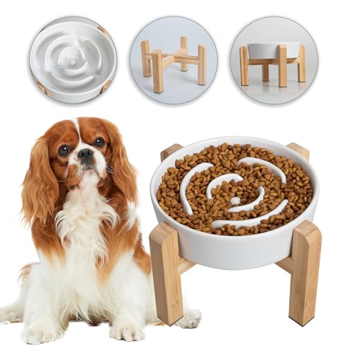 Antischlingnapf Hunde Keramik Hundenapf Erhöht - Anti Schling Napf Hund mit rutschfestem Bambusständer - Futternapf für kleine und mittelgroße Hunde - Fressnapf Hund Langsam Essen - Weiß - 17 cm Antischlingnapf Hunde Keramik Hundenapf Erhöht - Anti Schling Napf Hund mit rutschfestem Bambusständer - Futternapf für kleine und mittelgroße Hunde - Fressnapf Hund Langsam Essen - Weiß - 17 cm von PTOBER