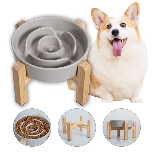 Antischlingnapf Hunde Keramik Hundenapf Erhöht - Anti Schling Napf Hund mit rutschfestem Bambusständer - Futternapf für kleine und mittelgroße Hunde - Fressnapf Hund Langsam Essen - Grau - 17 cm Antischlingnapf Hunde Keramik Hundenapf Erhöht - Anti Schling Napf Hund mit rutschfestem Bambusständer - Futternapf für kleine und mittelgroße Hunde - Fressnapf Hund Langsam Essen - Grau - 17 cm von PTOBER