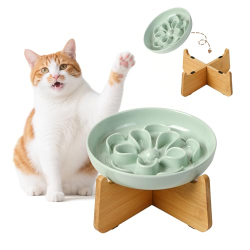 Antischlingnapf Katze Erhöht aus Melamin - Blumenform-Labyrinth Fressnapf mit Bambusständer - Katzennapf für Langsames Fressen - Grün von PTOBER
