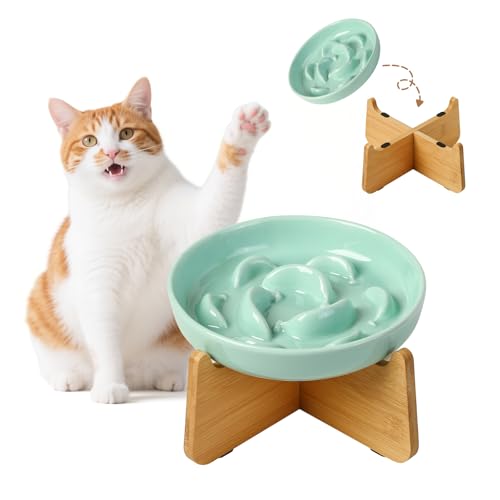 Antischlingnapf Katze Keramik mit Bambusständer - Katzennapf Erhöht - Fressnapf Katzen gegen Schlingen - Labyrinth Futternapf für langsames Fressen - Mintgrün von PTOBER