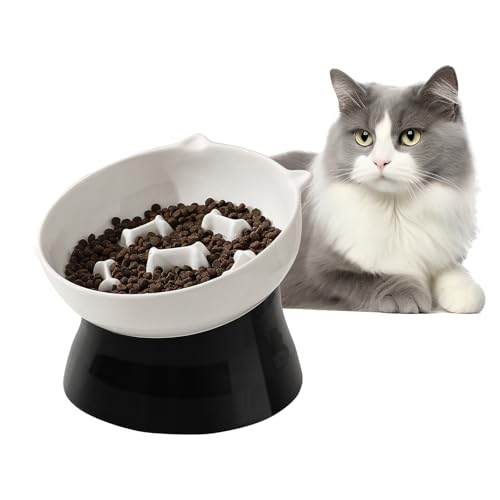 Erhöhte Keramik Slow Food Katzenschale Erhöhte Keramik Slow Food Katzenschale von PTOBER