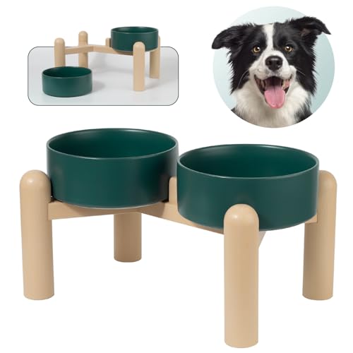 Erhöhtes Hundenapf Set aus Keramik - Doppel Fressnapf mit Anti-Rutsch-Ständer für Futter und Wasser - Ideal für Mittelgroße bis Große Hunde - 2 x 2000 ml - Grün Erhöhtes Hundenapf Set aus Keramik - Doppel Fressnapf mit Anti-Rutsch-Ständer für Futter und Wasser - Ideal für Mittelgroße bis Große Hunde - 2 x 2000 ml - Grün von PTOBER