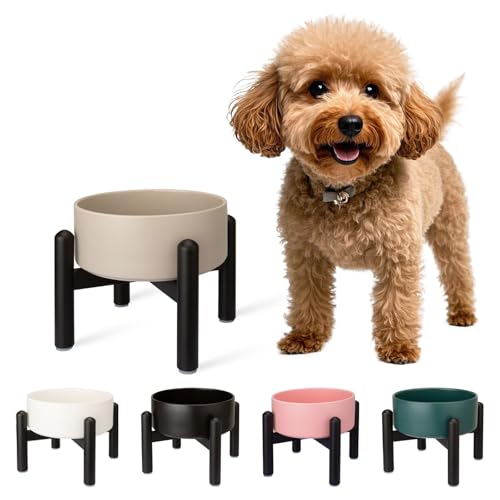 Futternapf Hund Erhöht Hundenapf Keramik - Fressnapf Hoch mit Edelstahlständer - Für Kleine und Mittelgroße Hunde - 15,5 cm Durchmesser - 850 ml - Grau Futternapf Hund Erhöht Hundenapf Keramik - Fressnapf Hoch mit Edelstahlständer - Für Kleine und Mittelgroße Hunde - 15,5 cm Durchmesser - 850 ml - Grau von PTOBER