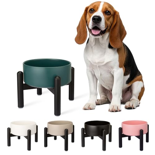 Futternapf Hund Erhöht Hundenapf Keramik - Fressnapf Hoch mit Edelstahlständer - Für Kleine und Mittelgroße Hunde - 15,5 cm Durchmesser - 850 ml - Grün Futternapf Hund Erhöht Hundenapf Keramik - Fressnapf Hoch mit Edelstahlständer - Für Kleine und Mittelgroße Hunde - 15,5 cm Durchmesser - 850 ml - Grün von PTOBER
