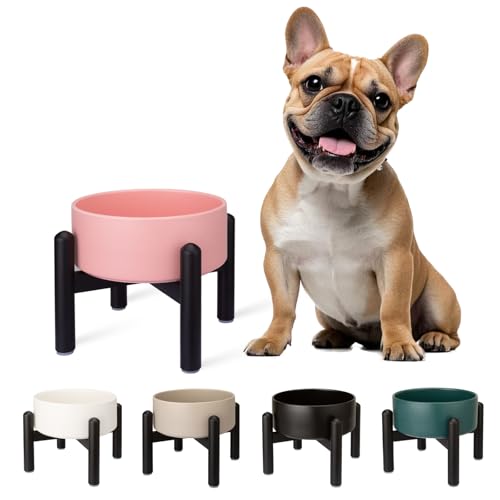 Futternapf Hund Erhöht Hundenapf Keramik - Fressnapf Hoch mit Edelstahlständer - Für Kleine und Mittelgroße Hunde - 15,5 cm Durchmesser - 850 ml - Rosa Futternapf Hund Erhöht Hundenapf Keramik - Fressnapf Hoch mit Edelstahlständer - Für Kleine und Mittelgroße Hunde - 15,5 cm Durchmesser - 850 ml - Rosa von PTOBER
