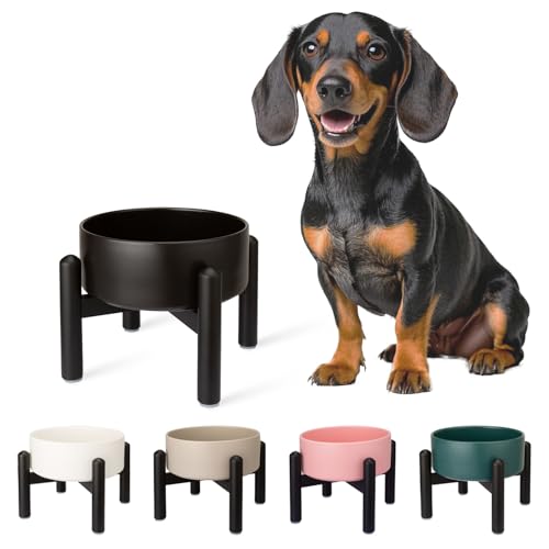 Futternapf Hund Erhöht Hundenapf Keramik - Fressnapf Hoch mit Edelstahlständer - Für Kleine und Mittelgroße Hunde - 15,5 cm Durchmesser - 850 ml - Schwarz Futternapf Hund Erhöht Hundenapf Keramik - Fressnapf Hoch mit Edelstahlständer - Für Kleine und Mittelgroße Hunde - 15,5 cm Durchmesser - 850 ml - Schwarz von PTOBER