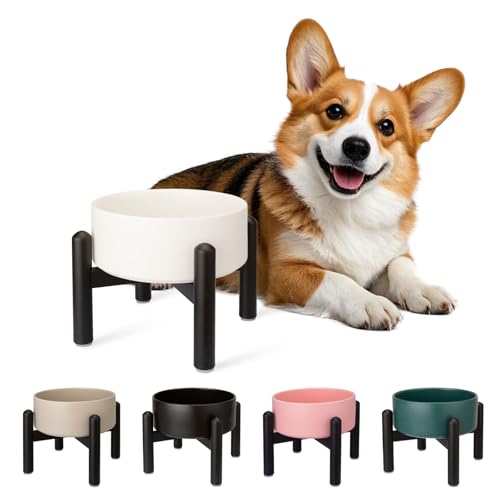 Futternapf Hund Erhöht Hundenapf Keramik - Fressnapf Hoch mit Edelstahlständer - Für Kleine und Mittelgroße Hunde - 15,5 cm Durchmesser - 850 ml - Weiß Futternapf Hund Erhöht Hundenapf Keramik - Fressnapf Hoch mit Edelstahlständer - Für Kleine und Mittelgroße Hunde - 15,5 cm Durchmesser - 850 ml - Weiß von PTOBER