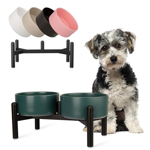 Futternapf Hund Erhöht Hundenapf Set - Doppelte Fressnapf Keramik mit Edelstahlständer - Ideal für Kleine und Mittelgroße Hunde - 850 ml x 2 - Grün Futternapf Hund Erhöht Hundenapf Set - Doppelte Fressnapf Keramik mit Edelstahlständer - Ideal für Kleine und Mittelgroße Hunde - 850 ml x 2 - Grün von PTOBER