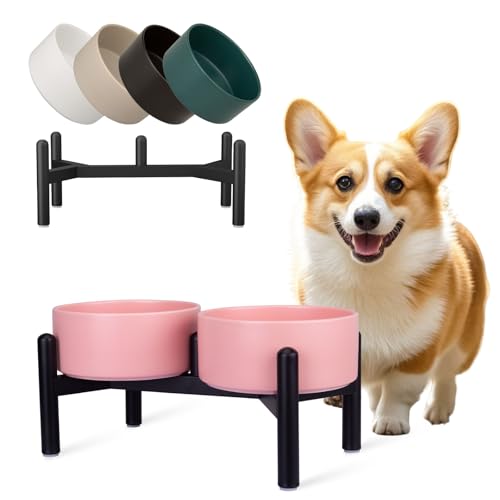 Futternapf Hund Erhöht Hundenapf Set - Doppelte Fressnapf Keramik mit Edelstahlständer - Ideal für Kleine und Mittelgroße Hunde - 850 ml x 2 - Rosa Futternapf Hund Erhöht Hundenapf Set - Doppelte Fressnapf Keramik mit Edelstahlständer - Ideal für Kleine und Mittelgroße Hunde - 850 ml x 2 - Rosa von PTOBER
