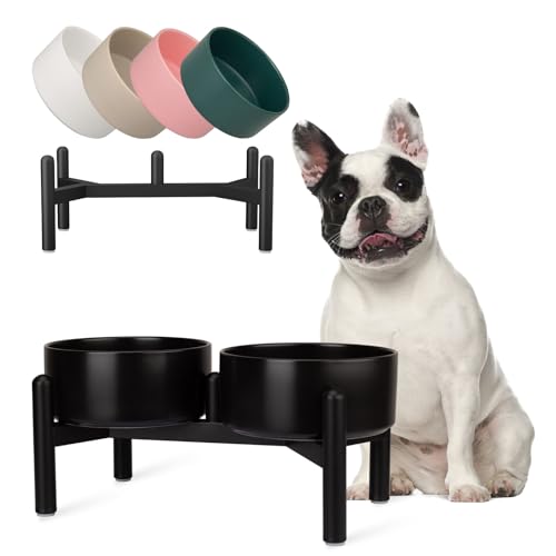 Futternapf Hund Erhöht Hundenapf Set - Doppelte Fressnapf Keramik mit Edelstahlständer - Ideal für Kleine und Mittelgroße Hunde - 850 ml x 2 - Schwarz Futternapf Hund Erhöht Hundenapf Set - Doppelte Fressnapf Keramik mit Edelstahlständer - Ideal für Kleine und Mittelgroße Hunde - 850 ml x 2 - Schwarz von PTOBER