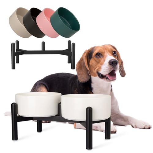 Futternapf Hund Erhöht Hundenapf Set - Doppelte Fressnapf Keramik mit Edelstahlständer - Ideal für Kleine und Mittelgroße Hunde - 850 ml x 2 - Weiß Futternapf Hund Erhöht Hundenapf Set - Doppelte Fressnapf Keramik mit Edelstahlständer - Ideal für Kleine und Mittelgroße Hunde - 850 ml x 2 - Weiß von PTOBER