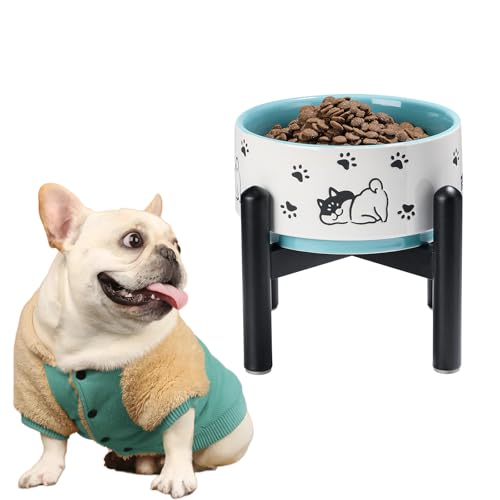 Futternapf Hund Keramik Hundenapf Erhöht - Fressnapf Hoch mit Edelstahlständer - Für Kleine und Mittelgroße Hunde - 15,5 cm Durchmesser - 900 ml - Grün von PTOBER