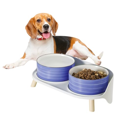 Hunde Napfset Hundenapf Set Erhöht - Doppelnapf Keramik mit Spritzschutz Ständer - Bunte Spirals Hundenäpfe für Futter und Wasser - Ideal für Kleine bis Mittelgroße Hunde - 2 x 800 ml - Blau von PTOBER