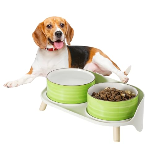 Hunde Napfset Hundenapf Set Erhöht - Doppelnapf Keramik mit Spritzschutz Ständer - Bunte Spirals Hundenäpfe für Futter und Wasser - Ideal für Kleine bis Mittelgroße Hunde - 2 x 800 ml - Grün von PTOBER
