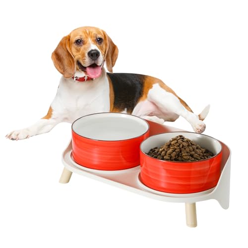 Hunde Napfset Hundenapf Set Erhöht - Doppelnapf Hund Keramik mit Spritzschutz Ständer - Bunte Spirals Hundenäpfe für Futter und Wasser - Ideal für Kleine bis Mittelgroße Hunde - 2 x 650 ml - Rot Hunde Napfset Hundenapf Set Erhöht - Doppelnapf Hund Keramik mit Spritzschutz Ständer - Bunte Spirals Hundenäpfe für Futter und Wasser - Ideal für Kleine bis Mittelgroße Hunde - 2 x 650 ml - Rot von PTOBER
