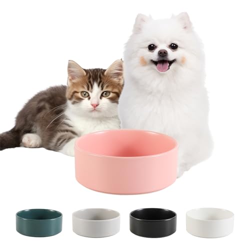 Hundenapf Keramik Futternapf für Kleine Hunde - Fressnapf Hund - Katzennapf - Wassernapf Katzen - Trinknapf Katze - 140 g / 320 ml - Rosa (1 Stück) von PTOBER