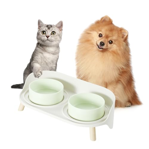 Hundenapf Set Erhöht Hunde Napfset - Doppel Fressnapf Hund Keramik mit Spritzschutz Ständer - Hundenäpfe 2er Set für Futter und Wasser - Futterstation für Kleine Hunde und Katzen - 2 x 300 ml - Grün Hundenapf Set Erhöht Hunde Napfset - Doppel Fressnapf Hund Keramik mit Spritzschutz Ständer - Hundenäpfe 2er Set für Futter und Wasser - Futterstation für Kleine Hunde und Katzen - 2 x 300 ml - Grün von PTOBER