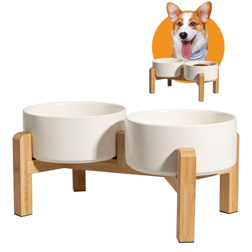 Hundenapf Set Erhöht Hunde Napfset - Doppel Napf Hund Keramik mit rutschfestem Ständer - Erhöhte Futterstation Hund 2er Set für Futter und Wasser - Ideal für kleine und mittelgroße Hunde - 2 x 850 ml Hundenapf Set Erhöht Hunde Napfset - Doppel Napf Hund Keramik mit rutschfestem Ständer - Erhöhte Futterstation Hund 2er Set für Futter und Wasser - Ideal für kleine und mittelgroße Hunde - 2 x 850 ml von PTOBER