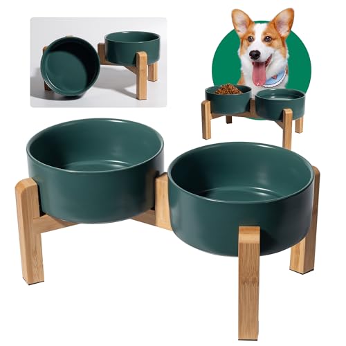 Hundenapf Set Erhöht Hunde Napfset - Doppel Napf Hund Keramik mit rutschfestem Ständer - Erhöhte Futterstation Hund 2er Set für Futter und Wasser - Ideal für kleine und mittelgroße Hunde - 2 x 850 ml Hundenapf Set Erhöht Hunde Napfset - Doppel Napf Hund Keramik mit rutschfestem Ständer - Erhöhte Futterstation Hund 2er Set für Futter und Wasser - Ideal für kleine und mittelgroße Hunde - 2 x 850 ml von PTOBER