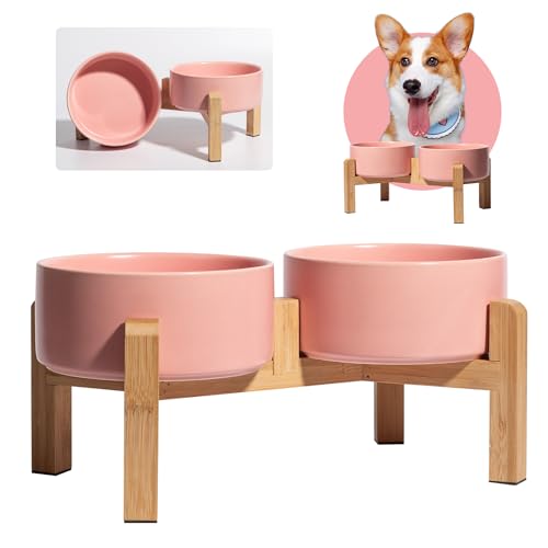 Hundenapf Set Erhöht Hunde Napfset - Doppel Napf Hund Keramik mit rutschfestem Ständer - Erhöhte Futterstation Hund 2er Set für Futter und Wasser - Ideal für kleine und mittelgroße Hunde - 2 x 850 ml Hundenapf Set Erhöht Hunde Napfset - Doppel Napf Hund Keramik mit rutschfestem Ständer - Erhöhte Futterstation Hund 2er Set für Futter und Wasser - Ideal für kleine und mittelgroße Hunde - 2 x 850 ml von PTOBER