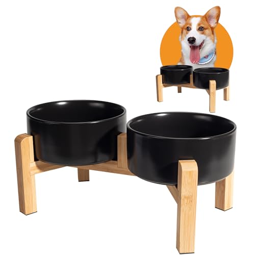 Hundenapf Set Erhöht Hunde Napfset - Doppel Napf Hund Keramik mit rutschfestem Ständer - Erhöhte Futterstation Hund 2er Set für Futter und Wasser - Ideal für kleine und mittelgroße Hunde - 2 x 850 ml Hundenapf Set Erhöht Hunde Napfset - Doppel Napf Hund Keramik mit rutschfestem Ständer - Erhöhte Futterstation Hund 2er Set für Futter und Wasser - Ideal für kleine und mittelgroße Hunde - 2 x 850 ml von PTOBER
