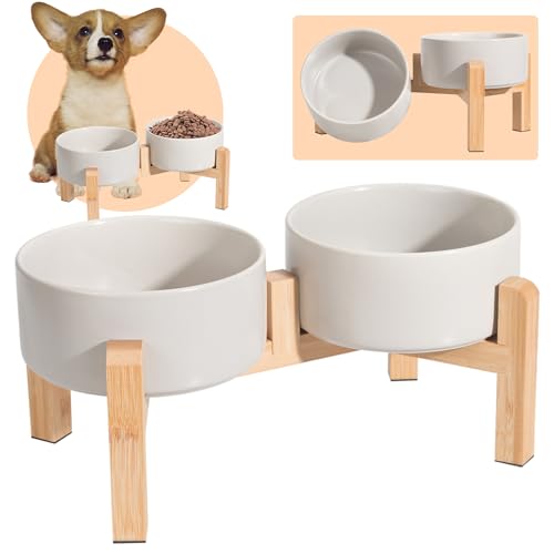 Hundenapf Set Erhöht Hunde Napfset - Doppel Napf Hund Keramik mit rutschfestem Ständer - Erhöhte Futterstation Hund 2er Set für Futter und Wasser - Ideal für kleine und mittelgroße Hunde - 2 x 850 ml Hundenapf Set Erhöht Hunde Napfset - Doppel Napf Hund Keramik mit rutschfestem Ständer - Erhöhte Futterstation Hund 2er Set für Futter und Wasser - Ideal für kleine und mittelgroße Hunde - 2 x 850 ml von PTOBER