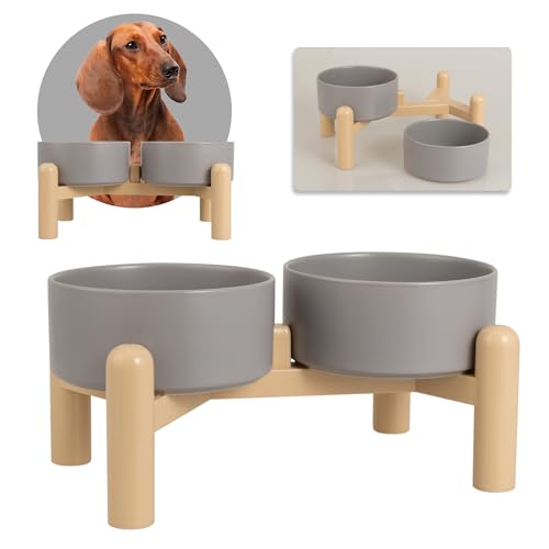 Hundenapf Set Erhöht Hunde Napfset - Doppelnapf Hund Keramik mit Rutschfestem Ständer - Futternapf Hund 2er Set für Futter und Wasser - Ideal für Kleine und Mittelgroße Hunde - 2 x 850 ml - Dunkelgrau Hundenapf Set Erhöht Hunde Napfset - Doppelnapf Hund Keramik mit Rutschfestem Ständer - Futternapf Hund 2er Set für Futter und Wasser - Ideal für Kleine und Mittelgroße Hunde - 2 x 850 ml - Dunkelgrau von PTOBER