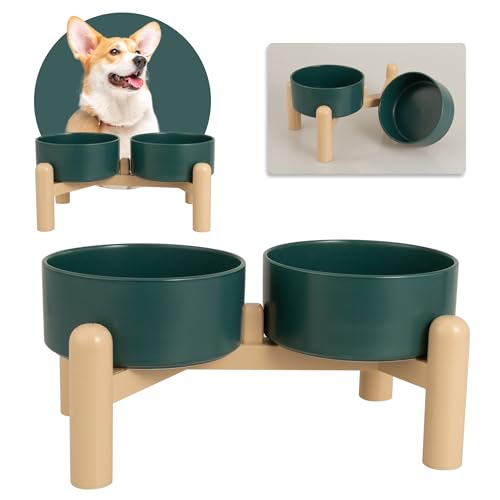 Hundenapf Set Erhöht Hunde Napfset - Doppelnapf Hund Keramik mit Rutschfestem Ständer - Futternapf Hund 2er Set für Futter und Wasser - Ideal für Kleine und Mittelgroße Hunde - 2 x 850 ml - Grün Hundenapf Set Erhöht Hunde Napfset - Doppelnapf Hund Keramik mit Rutschfestem Ständer - Futternapf Hund 2er Set für Futter und Wasser - Ideal für Kleine und Mittelgroße Hunde - 2 x 850 ml - Grün von PTOBER