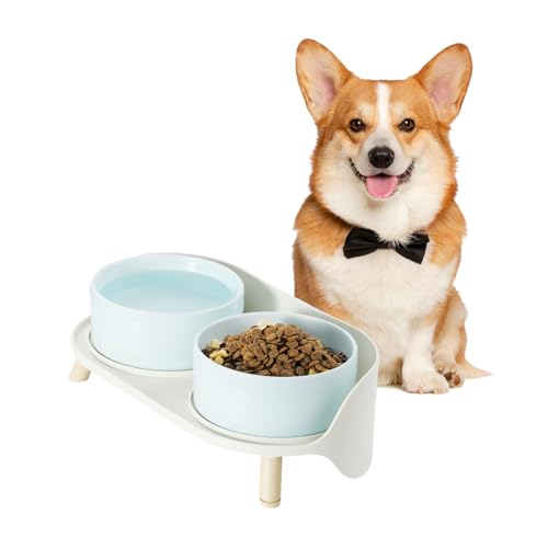 Hundenapf Set Erhöht Hunde Napfset - Doppelnapf Hund Keramik mit Spritzschutz Ständer - Hundenäpfe 2er Set für Futter und Wasser - Futterstation für Kleine und Mittelgroße Hunde - 2 x 650 ml - Blau Hundenapf Set Erhöht Hunde Napfset - Doppelnapf Hund Keramik mit Spritzschutz Ständer - Hundenäpfe 2er Set für Futter und Wasser - Futterstation für Kleine und Mittelgroße Hunde - 2 x 650 ml - Blau von PTOBER