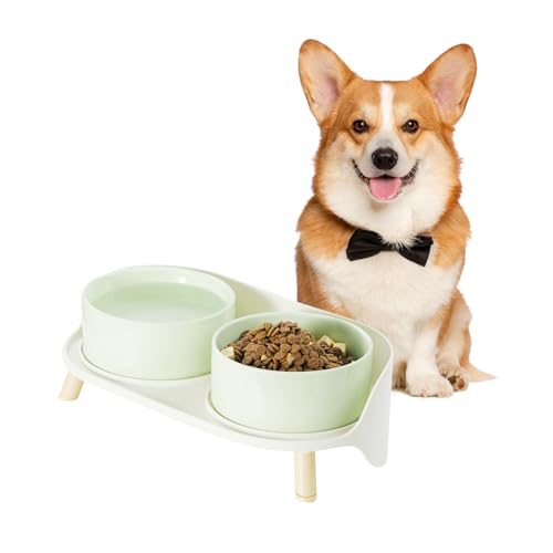 Hundenapf Set Erhöht Hunde Napfset - Doppelnapf Hund Keramik mit Spritzschutz Ständer - Hundenäpfe 2er Set für Futter und Wasser - Futterstation für Kleine und Mittelgroße Hunde - 2 x 650 ml - Grün Hundenapf Set Erhöht Hunde Napfset - Doppelnapf Hund Keramik mit Spritzschutz Ständer - Hundenäpfe 2er Set für Futter und Wasser - Futterstation für Kleine und Mittelgroße Hunde - 2 x 650 ml - Grün von PTOBER