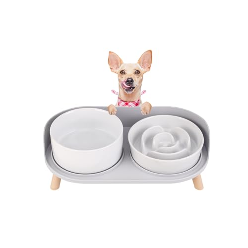 Keramik Hund Schüssel Set Keramik Hund Schüssel Set von PTOBER