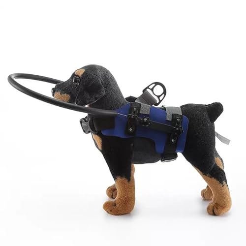 Hunde Anti-Kollisions-Ringgeschirr mit Schutzbarriere, verstellbare Sicherheitsvorrichtung für blinde und sehbehinderte Hunde, leicht verstellbarer Blindring für Hunde Katzen (Blau, M (10,4-18,1 kg)) Hunde Anti-Kollisions-Ringgeschirr mit Schutzbarriere, verstellbare Sicherheitsvorrichtung für blinde und sehbehinderte Hunde, leicht verstellbarer Blindring für Hunde Katzen (Blau, M (10,4-18,1 kg)) von PTWSF