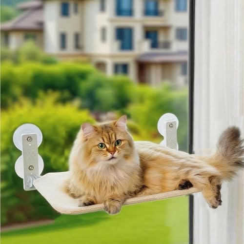 Lexuan Pets Fenster-Katzen-Hängematte, ohne Bohren, Saugnapf-Halterung, 20 kg Tragkraft, faltbare Katzen-Sitzstange mit Metallrahmen (Beige, M (50,4 x 30,8 cm) von PTWSF