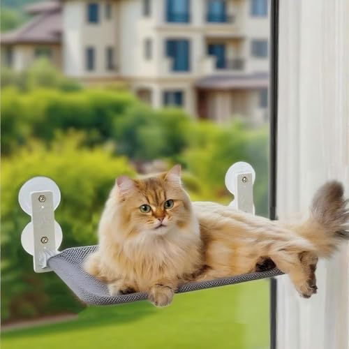 Lexuan Pets Fenster-Katzen-Hängematte, ohne Bohren, Saugnapf-Halterung, 20 kg Tragkraft, faltbare Katzen-Sitzstange mit Metallrahmen (Grau, Größe M (50,4 x 30,8 cm) von PTWSF