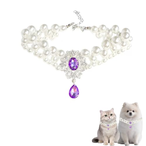 Perlenhalsband für Katzen, Perlenhund, Strass-Halsketten für kleine Hunde, Zubehör, Katzenperlenhalsband (lila, S) von PTWSF